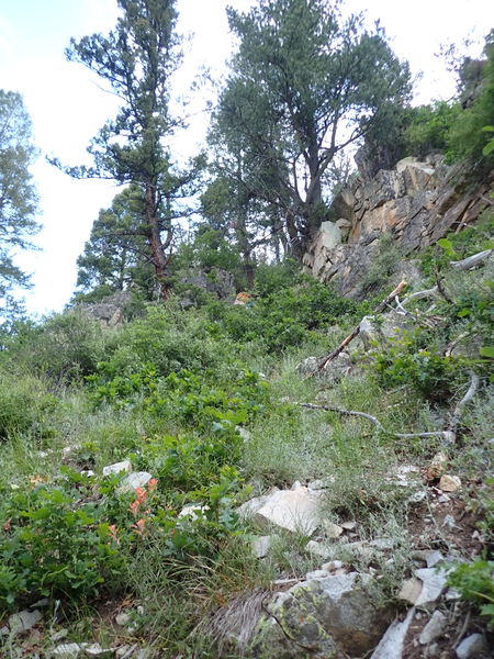 File:Sheepdog Creek pic2.jpg