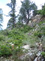 Thumbnail for version as of 22:11, 11 July 2022