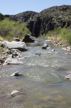 Tonto Creek (The Box) Banner.jpg