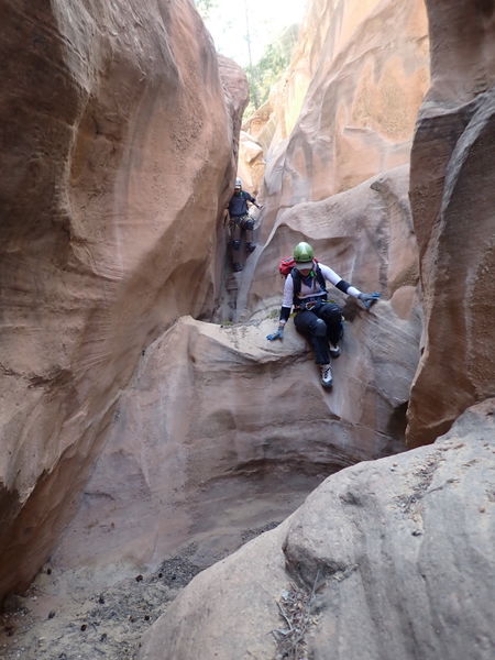 File:Cougar Canyon (New Mexico) pic12.jpg