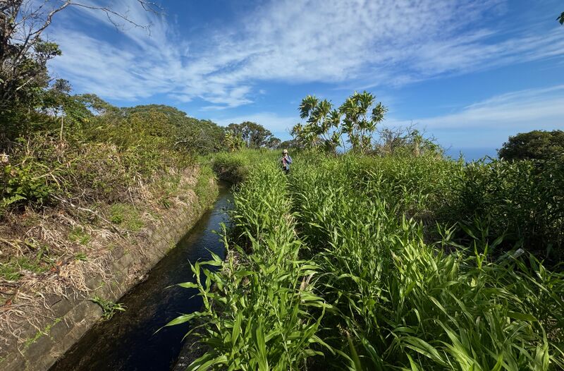 File:Emerald Canyon irrigationcanal.jpg