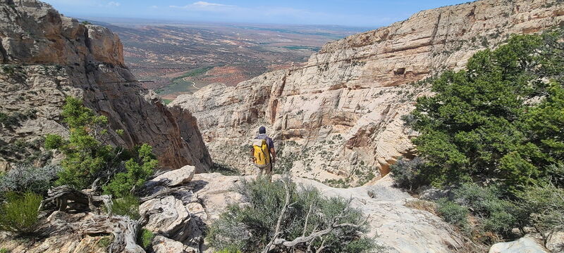 File:Hog Canyon in Dinosaur NM pic6.jpg