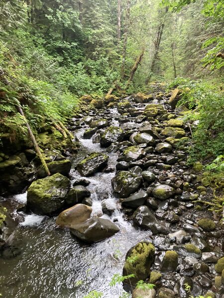 File:Lower Fulton Creek-20260526015635 pic.jpg