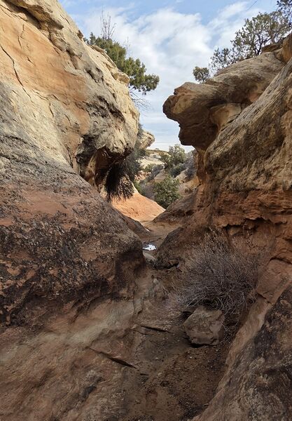 File:Serpent's Canyon pic002.jpg