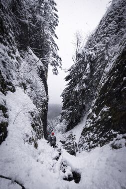 Agnes Creek Banner.jpg