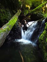 Chickoon Creek-20200822025827 pic.jpg