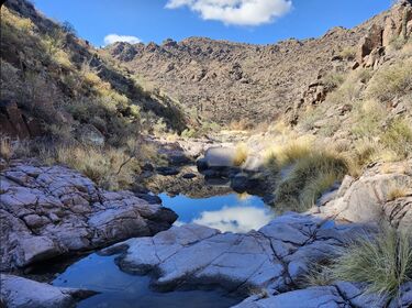 Needle Canyon (Red Hills) Banner.jpg