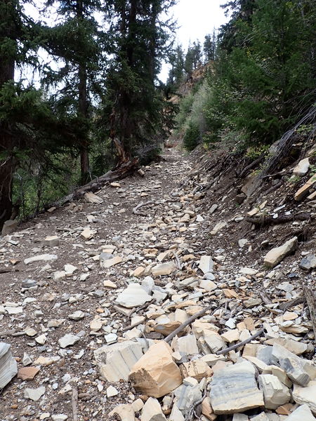 File:Parachute Creek (East Fork) pic31.jpg