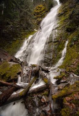 Covell Creek (West Fork) Banner.jpg