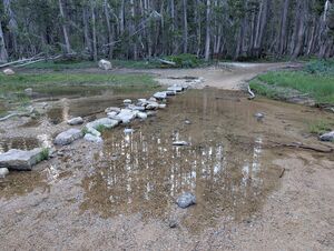 Tenaya Lake outlet.jpg