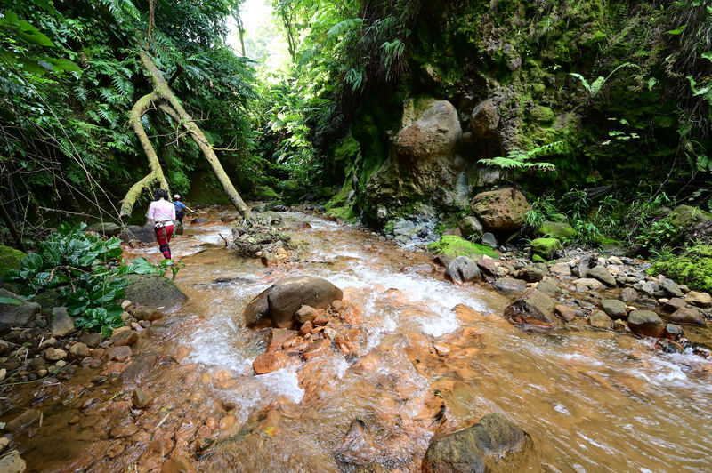 File:Blanc start.jpg