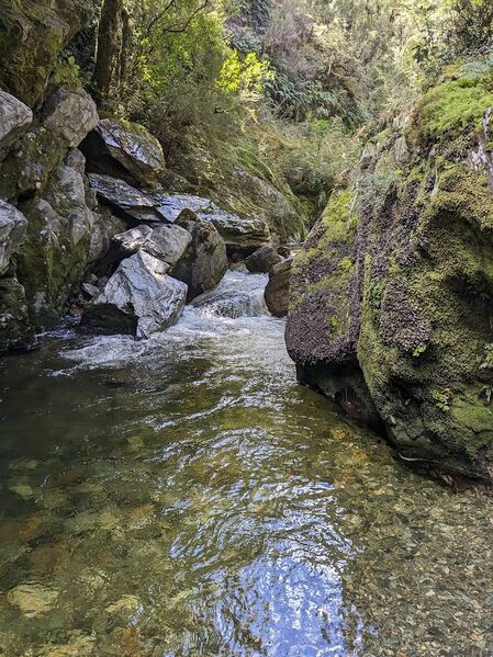 File:Cross Creek-20240604200455 pic.jpg