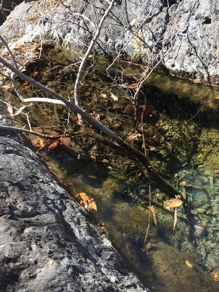 File:Laurel Springs Canyon img8014.jpg