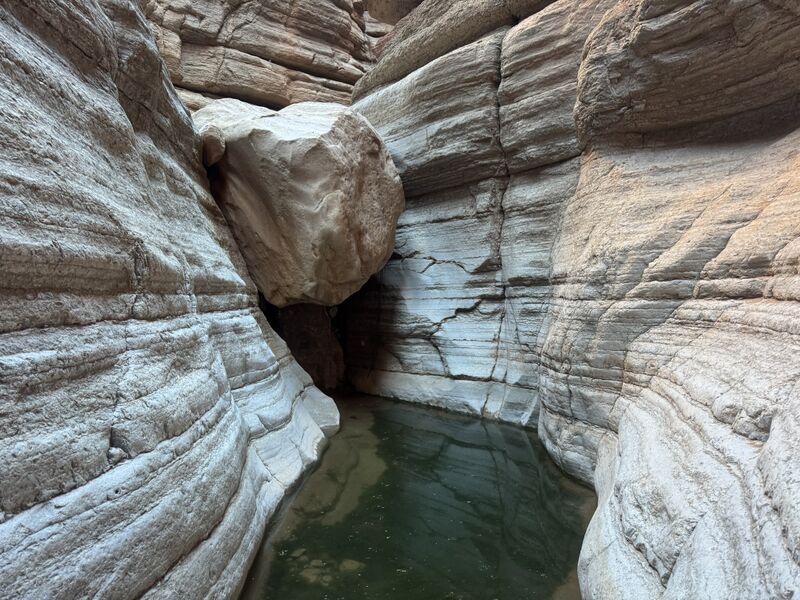 File:Matkatamiba Mauv Narrows firsthandline.jpg