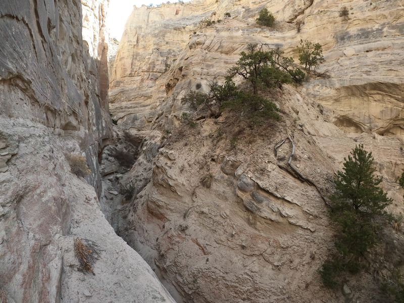 File:Never Again Canyon 10.jpg