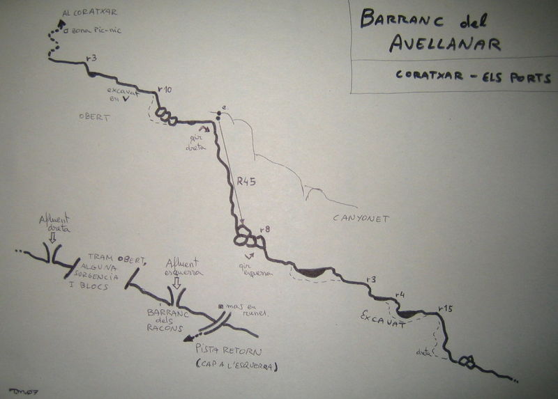 File:Paginas barrancos barranc del avellanar.jpg