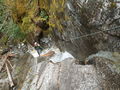 Thumbnail for version as of 03:03, 24 September 2020