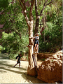 Thumbnail for version as of 06:21, 14 May 2014