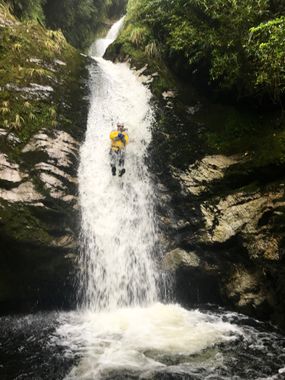 Carew Creek Banner.jpg