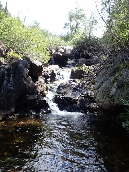 File:Fish Creek (Steamboat Springs) pic14.jpg