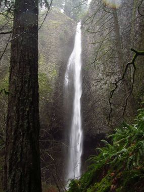 Gable Creek Banner.jpg