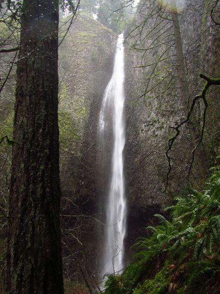 File:Gable Creek Banner.jpg