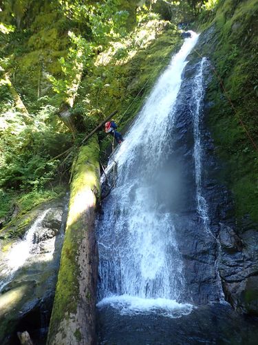 Heater Creek-20220718160846 pic.jpg