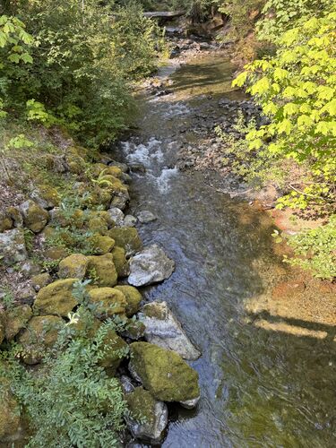 Lena Creek-20250829164127 pic.jpg