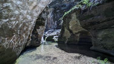 Clover Creek Canyon Banner.jpg
