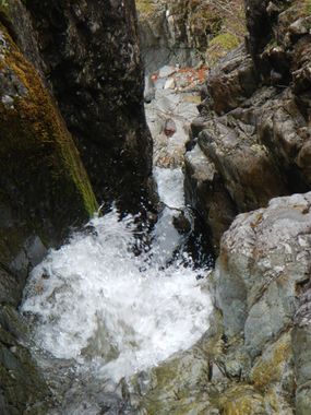 Fisherplace Gill Banner.jpg