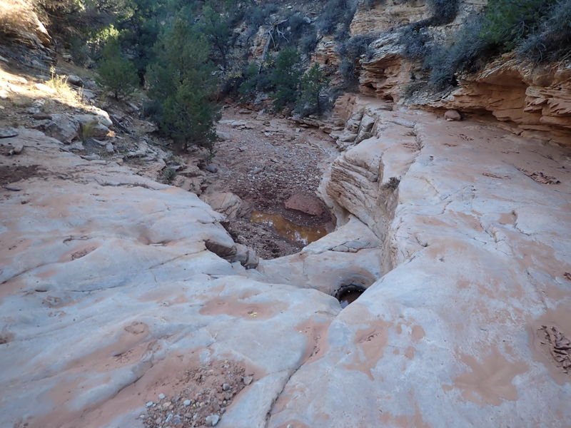 File:Miller Creek (Dinosaur) pic1.jpg