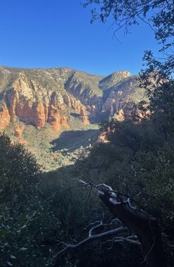 One Trick Pony Banner.jpg