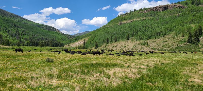 File:South Elk Creek pic14.jpg