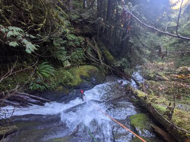 Ten Tire Creek Banner.jpg