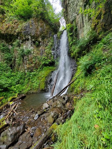 Archer Creek (Columbia River Gorge)-20210616030441 pic.jpg