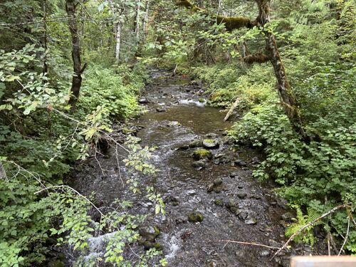 Cabin Creek (Olympics)-20250808150904 pic.jpg