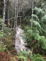 Big Huckleberry Creek-20211115212824 pic.jpg