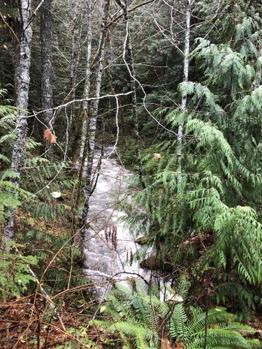 Big Huckleberry Creek-20211115212824 pic.jpg