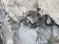 Thumbnail for version as of 01:53, 6 August 2022