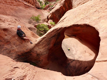 Buckeyes Canyon Banner.jpg
