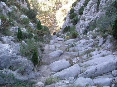 Escalera (Ludiente) Banner.jpg