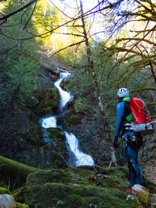 Fir Creek Fir Creek zig zag from bottom.jpg