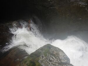Looper Creek-20240823171112 pics3.jpg