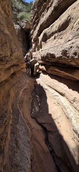 File:Morning Star Canyon pic008.jpg