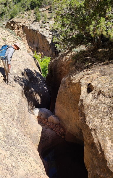 File:Pool Creek (Dinosaur) pic05.jpg