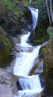 Thornton Creek-20141119084345 pic.jpg
