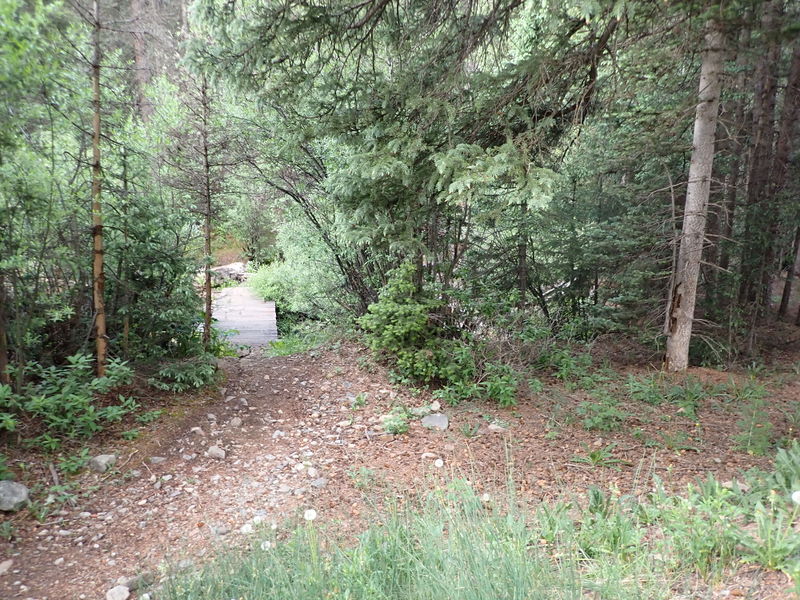 File:Waterfall Creek (San Juan Mountains) pic4.jpg