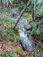 Big Huckleberry Creek-20260118044350 pic.jpg