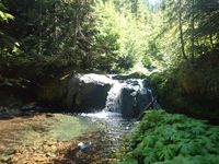 Dark Creek-20200818175022 pic.jpg