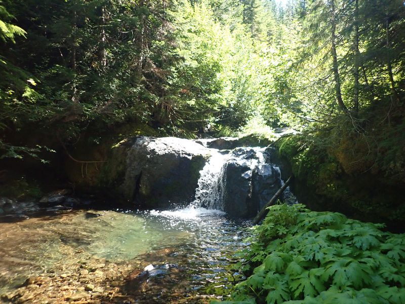 File:Dark Creek-20200818175022 pic.jpg
